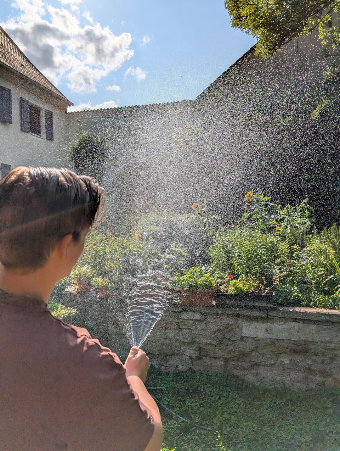 Pflanzen gießen im Sommer