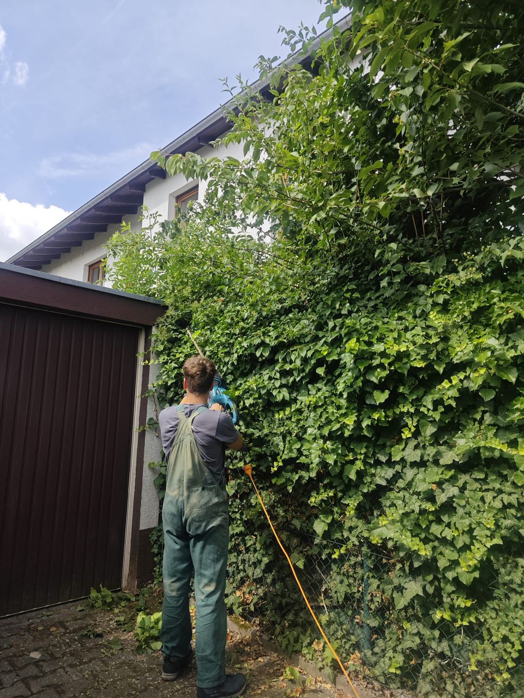 Heckenschnitt durch SB-Gartenpflege