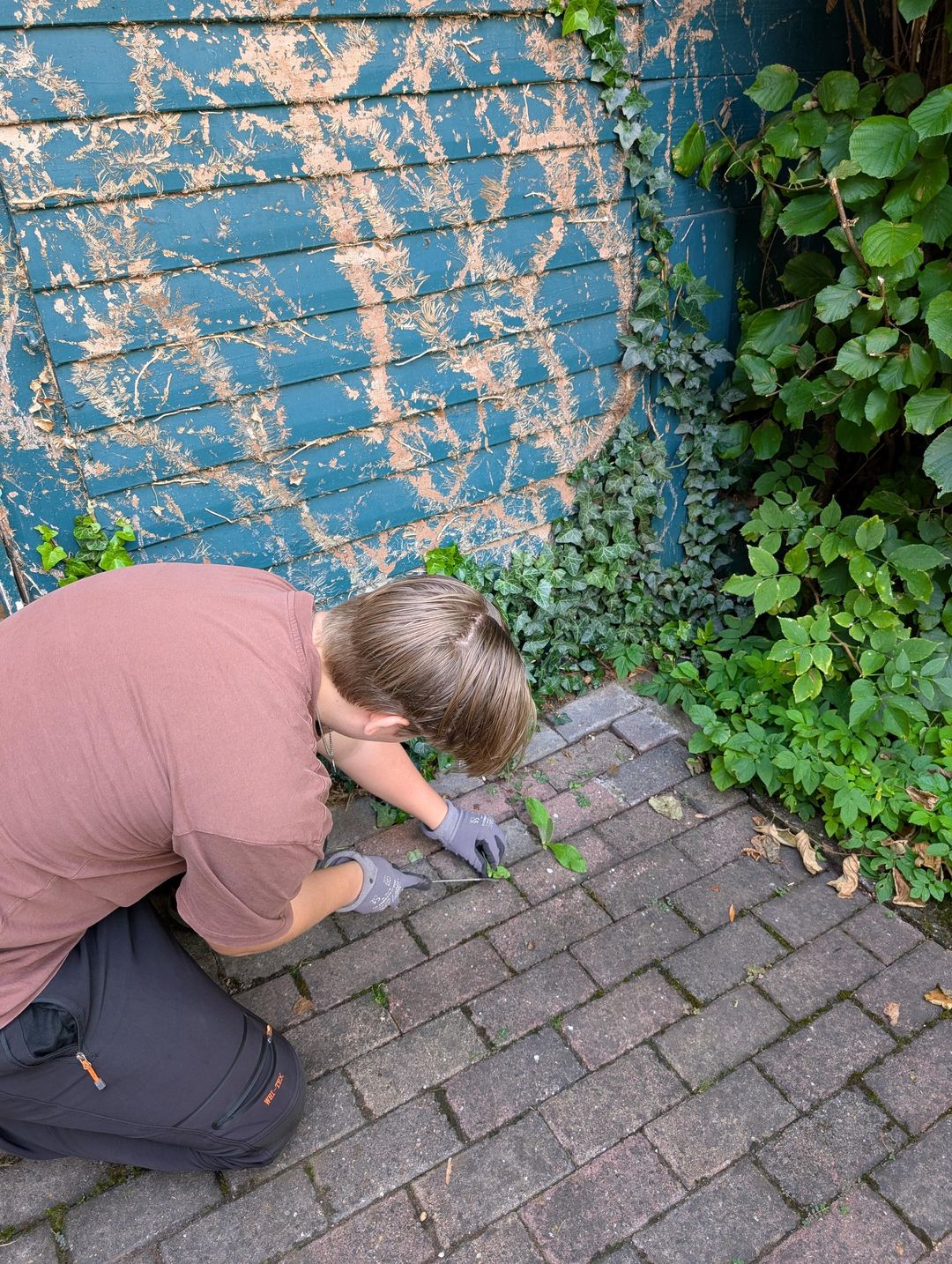 Unkraut entfernen auf einer gepflasterten Fläche