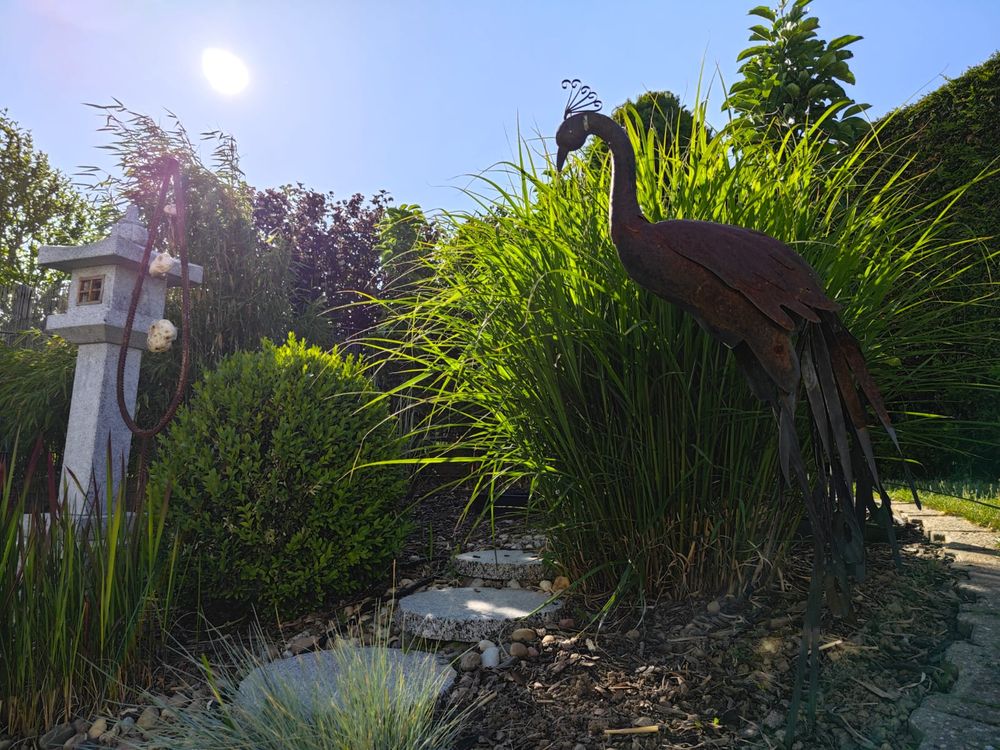 Gepflegter Ziergarten mit Gräsern